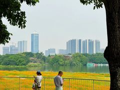 -海珠湖公园