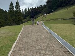 -神户市立六甲山牧场