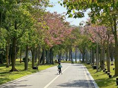 -顺峰山公园