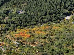 -北京十三陵国家森林公园蟒山景区