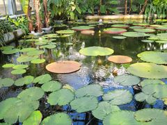 -国家植物园南园