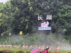 -广州长隆飞鸟乐园