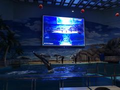 -福州罗源湾海洋世界旅游区