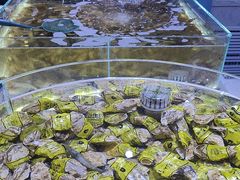 -聚盛源蒸汽海鲜火锅烤肉自助(巨川金海岸购物广场店)