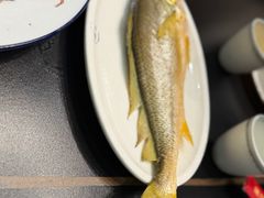 -吴记富苑(朝阳店)