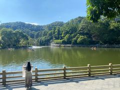 -广州市帽峰山景区