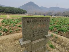 -八卦田遗址公园