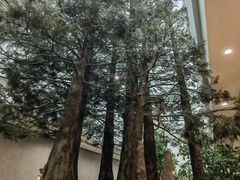 -中国湿地博物馆