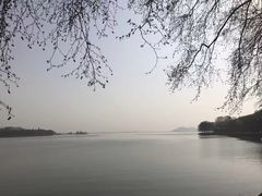 -武汉大学-樱园