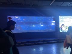 -重庆欢乐海底世界