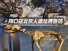 -北京周口店北京人遗址博物馆