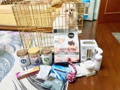 -翊宠yipet猫狗购宠庄园犬舍•猫舍