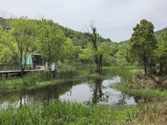 -西湖风景区-江洋畈生态公园