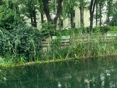 -兰溪青年公园