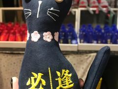 -猫咪博物馆(顶澳仔猫街店)