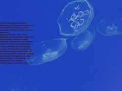 -南昌海洋公园