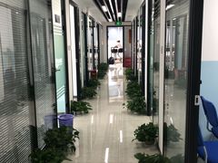 -新航道雅思托福·留学·考研培训(人民广场校区)