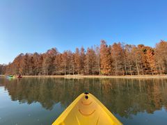 -上海海湾国家森林公园