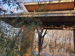 -大兴滨河森林公园