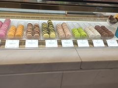 面包甜点陈列柜-PAUL LAFAYET 法式甜品(深圳湾万象城店)