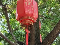 -成都市活水公园