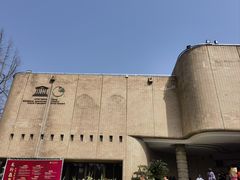 -自贡恐龙博物馆