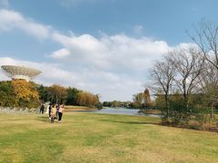 -上海佘山世茂艾美酒店