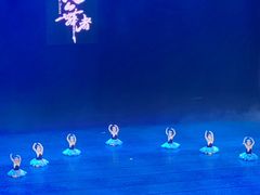 -中央芭蕾舞团·中芭艺蕾(酒仙桥明星校区)
