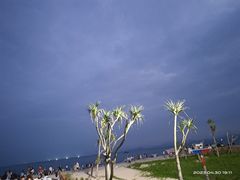 -玫瑰海岸文化旅游度假区