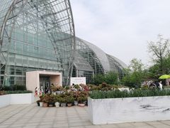 -南山植物园
