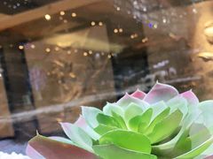 -红辣椒·川菜·火锅(张杨路店)