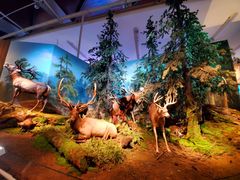 -贝林大翅鲸简餐厅(国家海洋博物馆店)