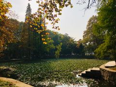 -安徽大学(龙河校区)