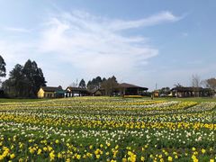 -保利石象湖景区