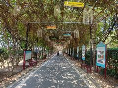 -武汉紫薇都市田园