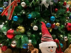 -嘉定凯悦·咖啡厅