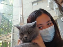 -猫咪派对(江南西店)