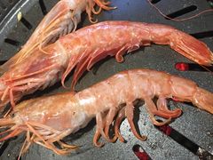 -贺野·自助炭火烤肉(紫藤路店)