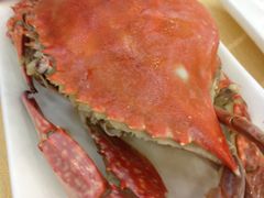 -海岛渔村大酒店(云霄路店)