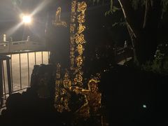 -禅宗少林·音乐大典