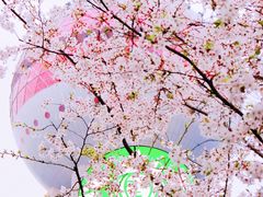 -东方明珠广播电视塔