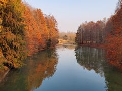 -上海海湾国家森林公园