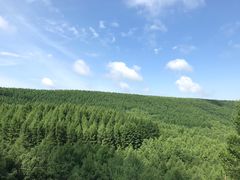 -塞罕坝国家级自然保护区