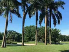 -平安（深圳）金融教育培训中心