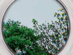 -长广溪湿地公园