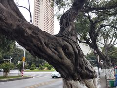 -珠江夜游天字码头