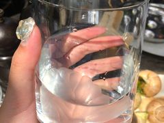 -金蜗牛