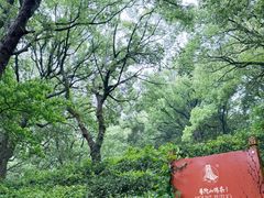 -普陀山风景名胜区-法雨禅寺