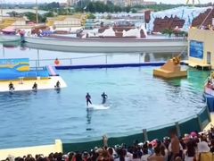 -秦皇岛乐岛海洋王国