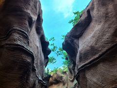 -陕西自然博物馆